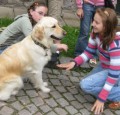 Pozornost dětí přitahovali psí kamarádi (Canisterapie - Bambiriáda 2008 Náchod).