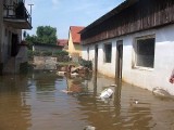 Povodně 2013 (foto SVČ - TYMY)